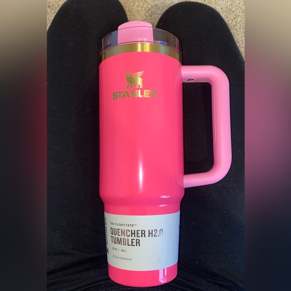 Pink Parade Stanley 30oz